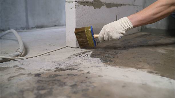 SJ Waterproofing Pros Exterior Waterproofing coverage map for Clio, AL and surrounding area